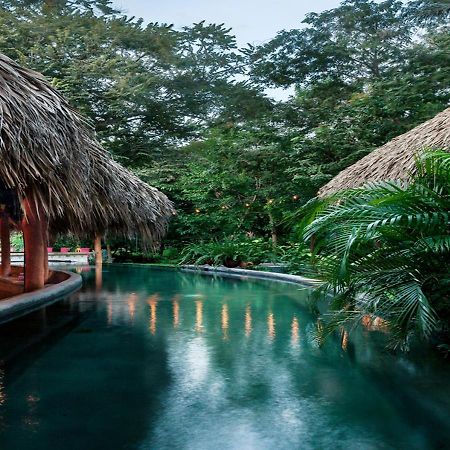 The Space Jungle Oasis San Juan del Sur Zewnętrze zdjęcie